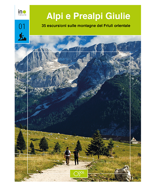 Alpi e Prealpi Giulie