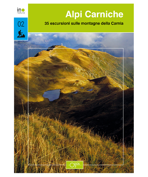 Alpi Carniche