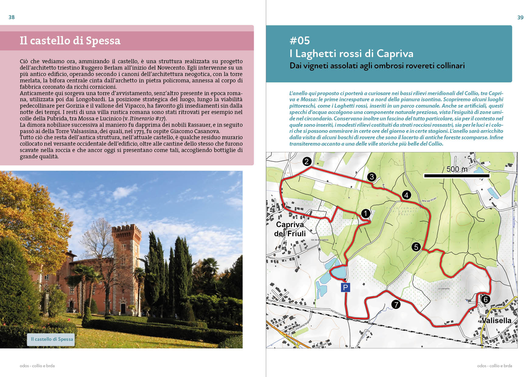 Collio e Brda - immagine 7