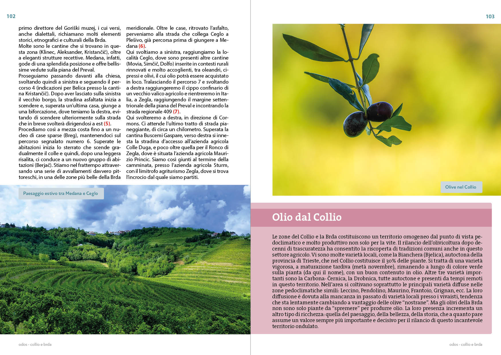 Collio e Brda - immagine 3