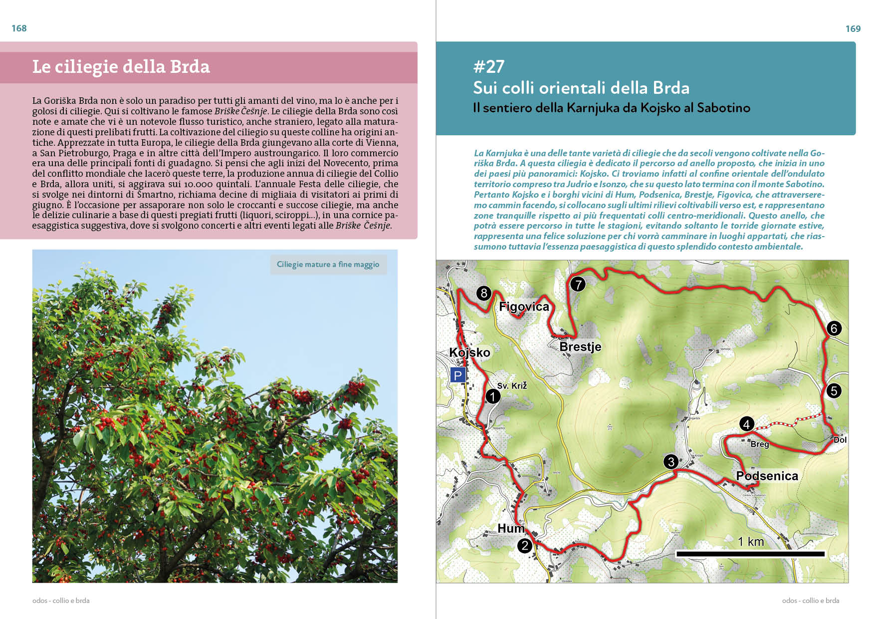 Alternative view of Collio e Brda