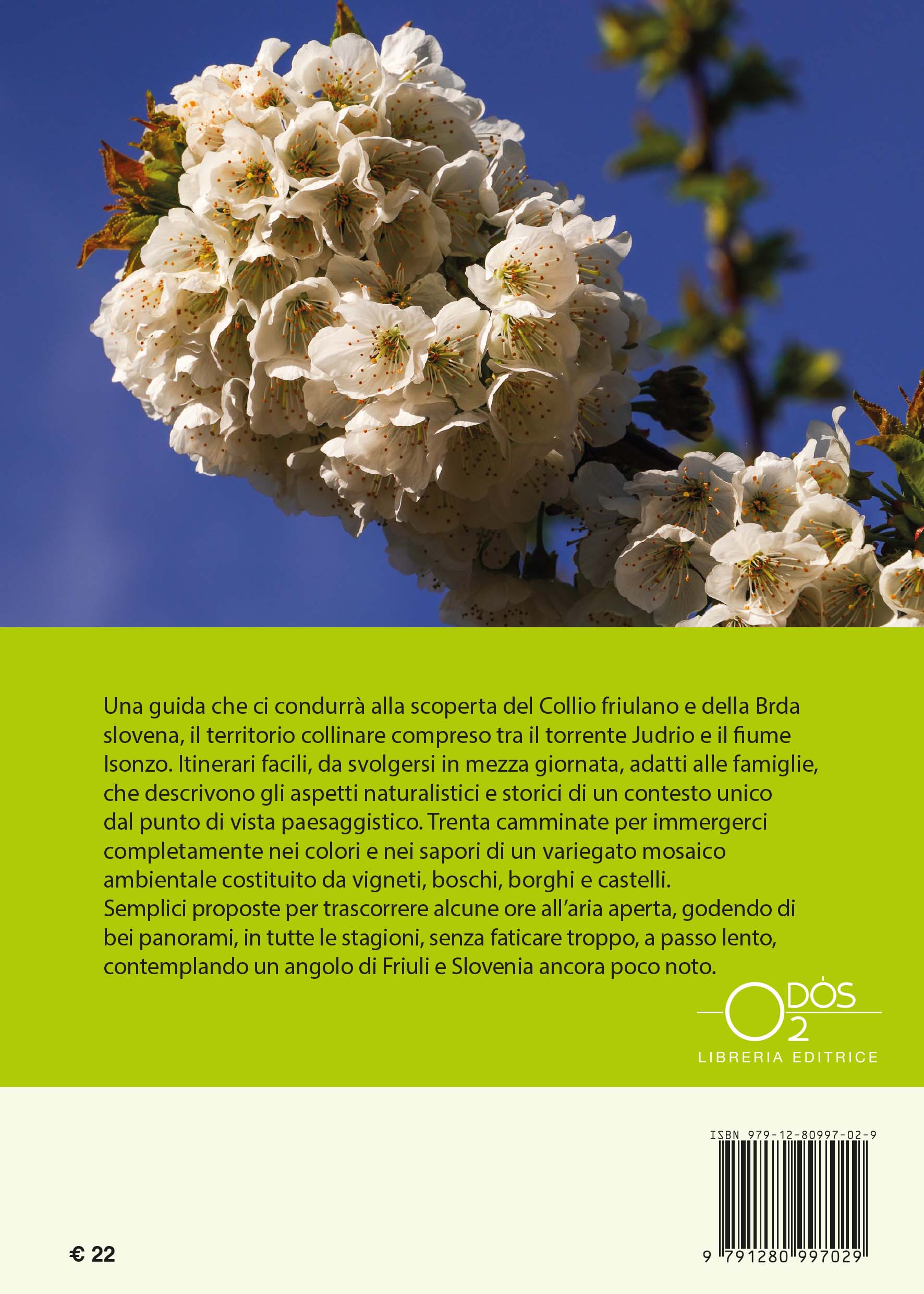 Collio e Brda - immagine 5