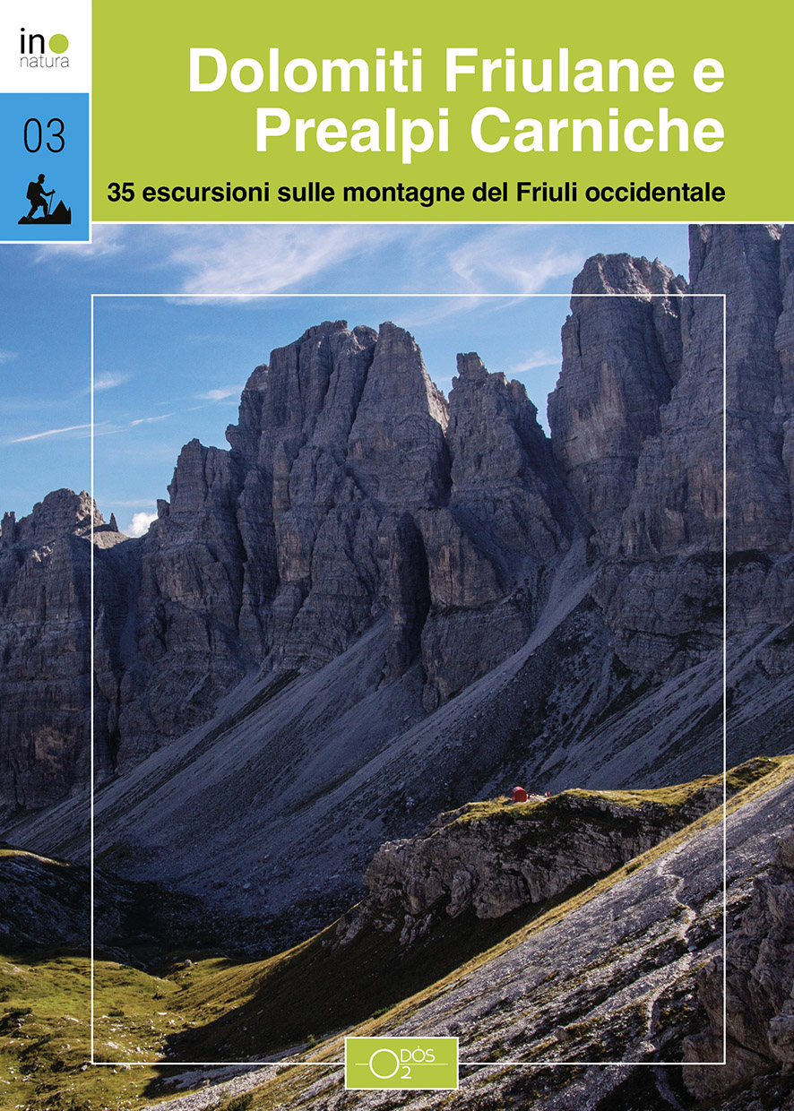 Alternative view of Dolomiti Friulane e Prealpi Carniche