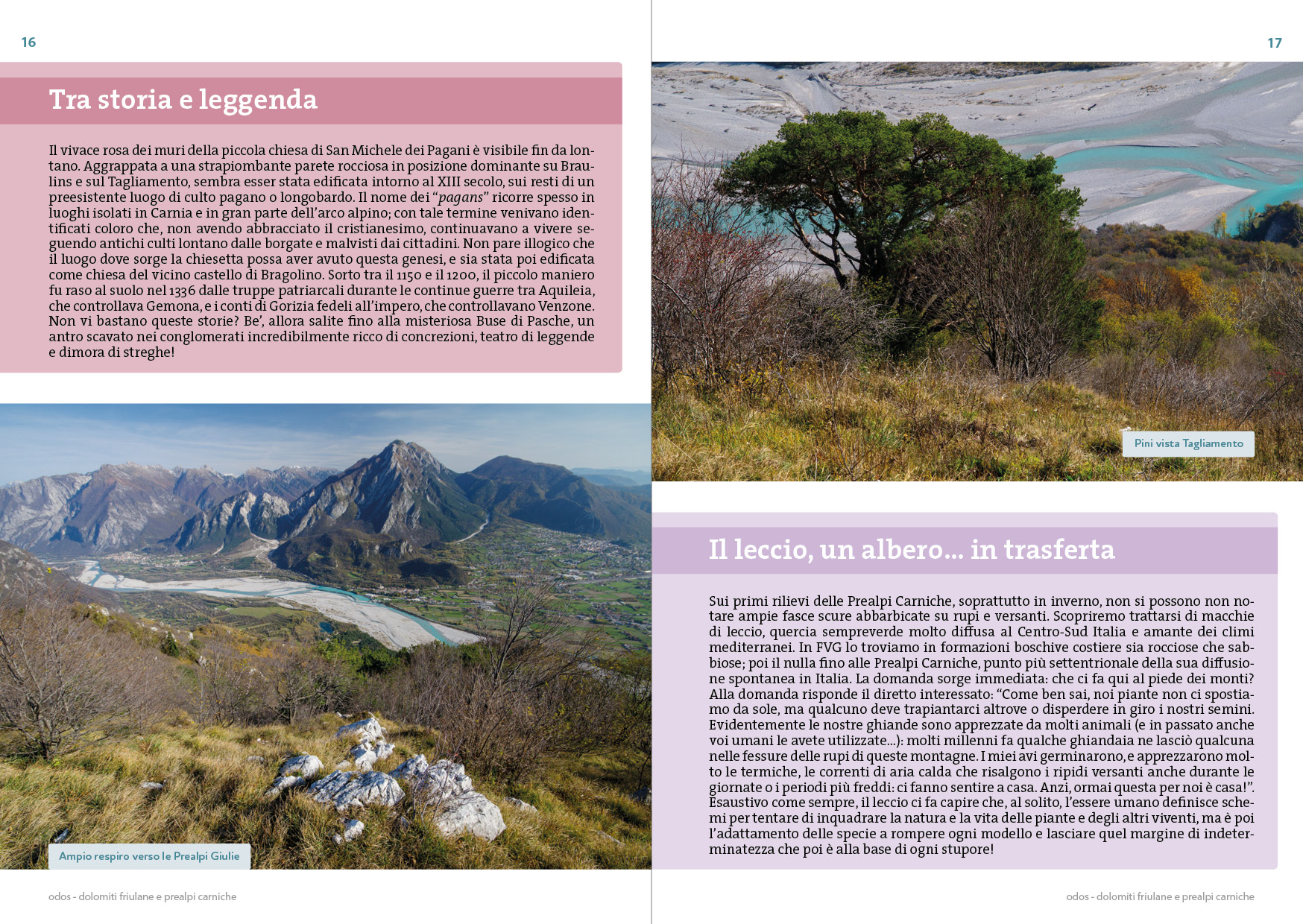 Dolomiti Friulane e Prealpi Carniche - immagine 4