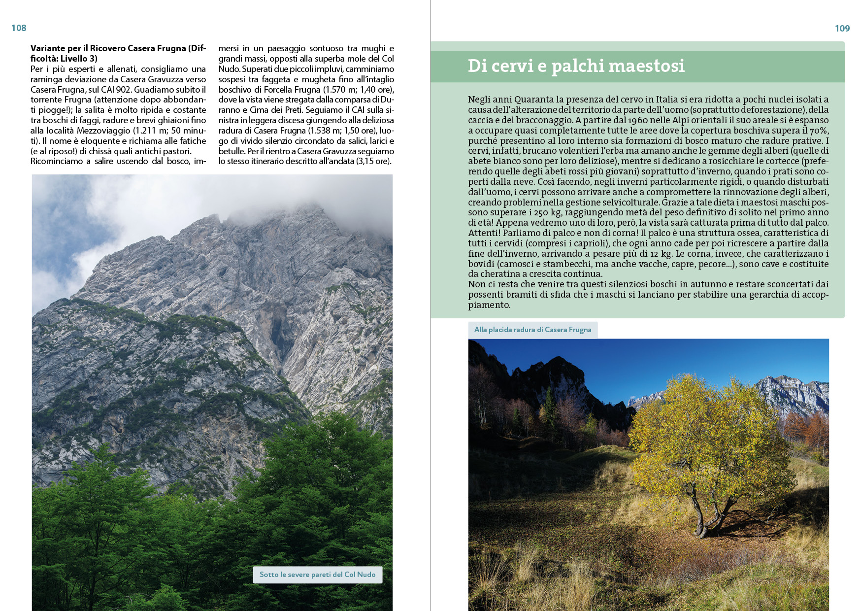 Dolomiti Friulane e Prealpi Carniche - immagine 7