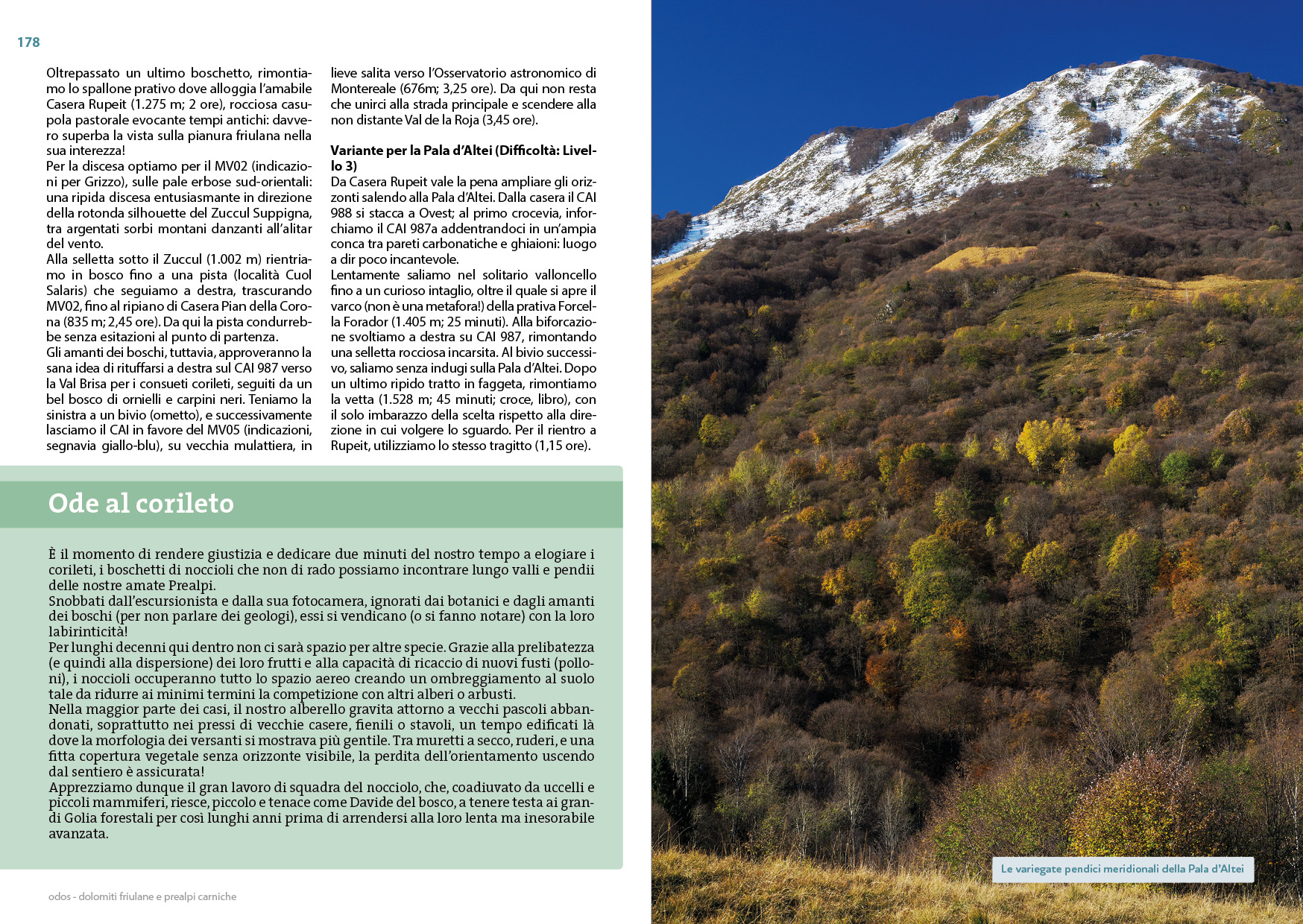 Dolomiti Friulane e Prealpi Carniche - immagine 8